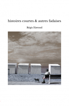 histoires courtes & autres fadaises