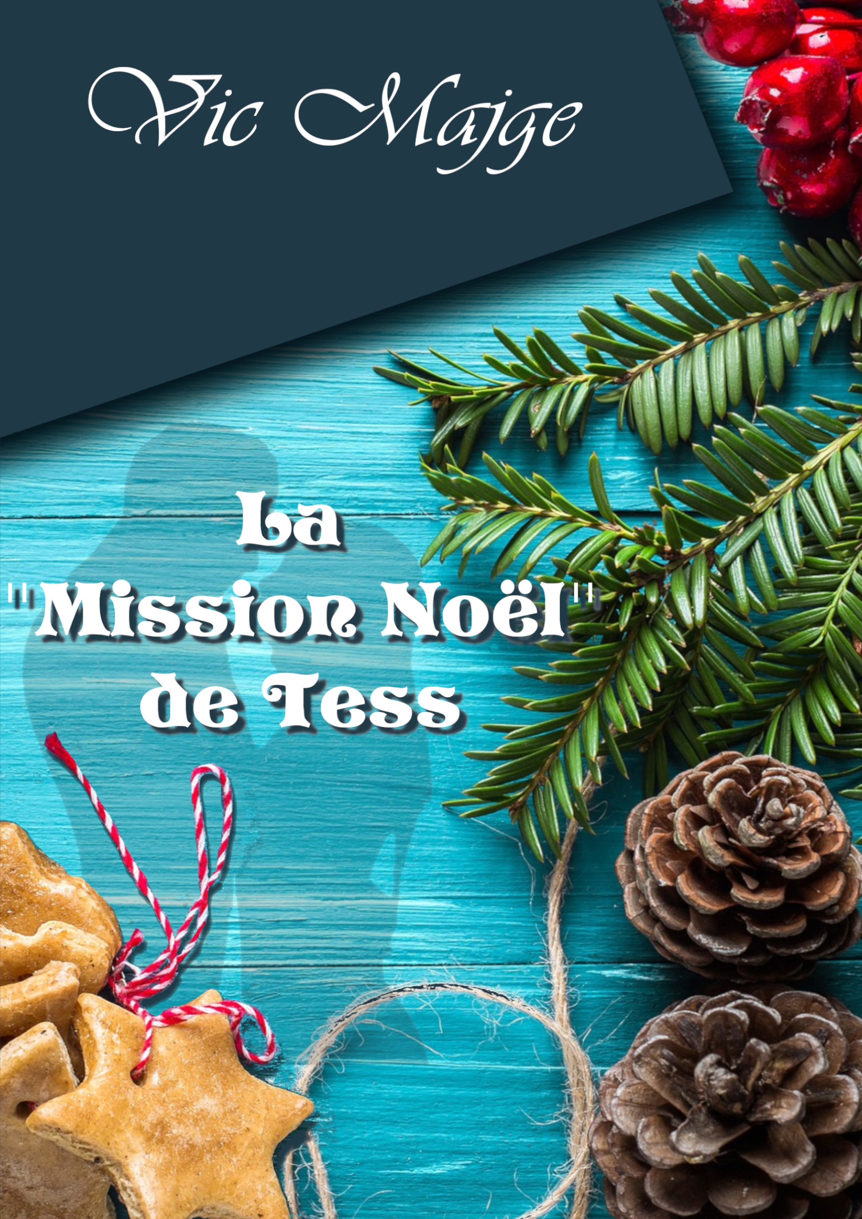 La "Mission Noël" de Tess