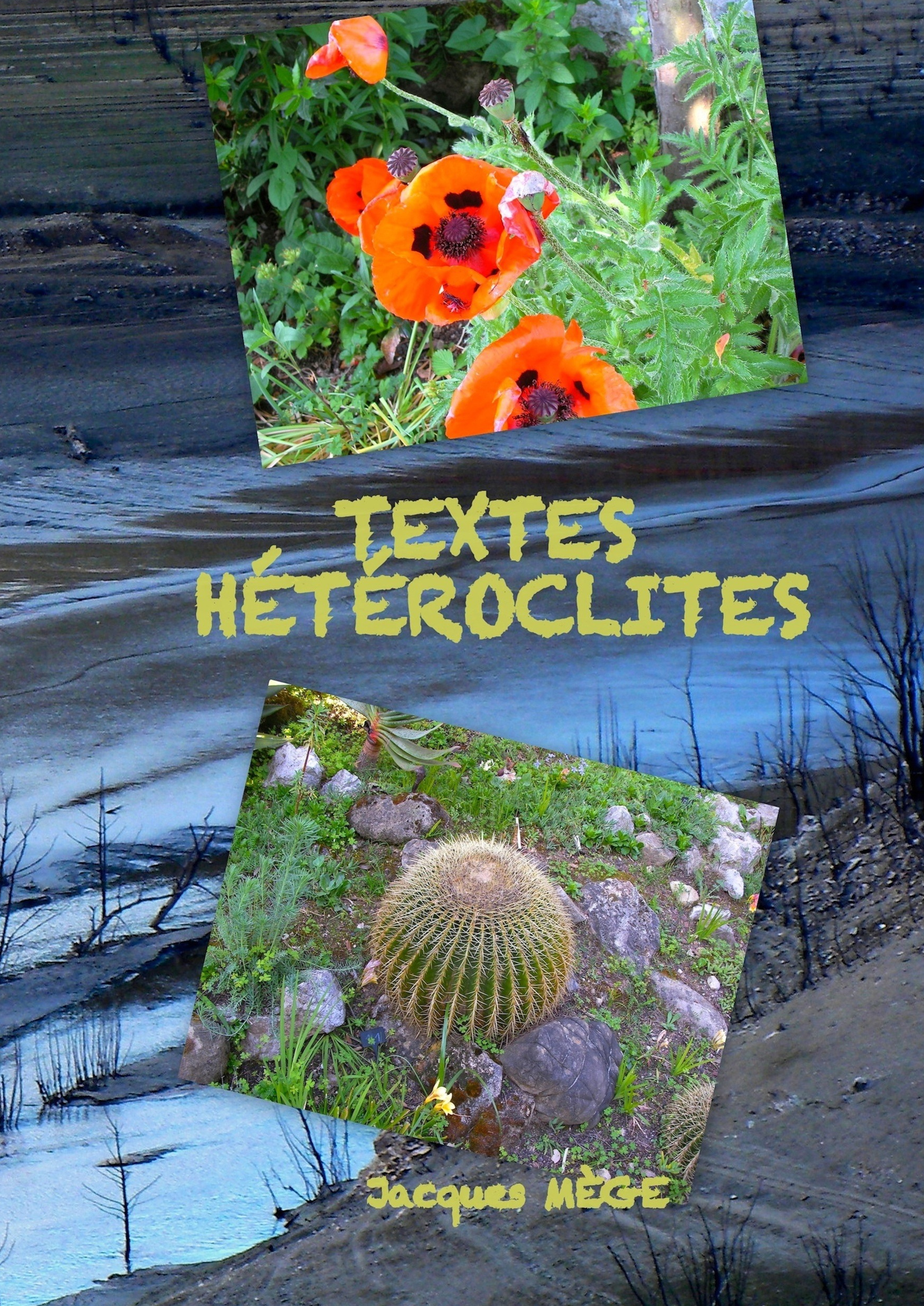 TEXTES HETEROCLITES