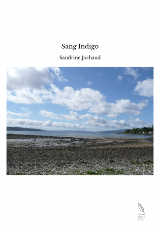 Sang Indigo