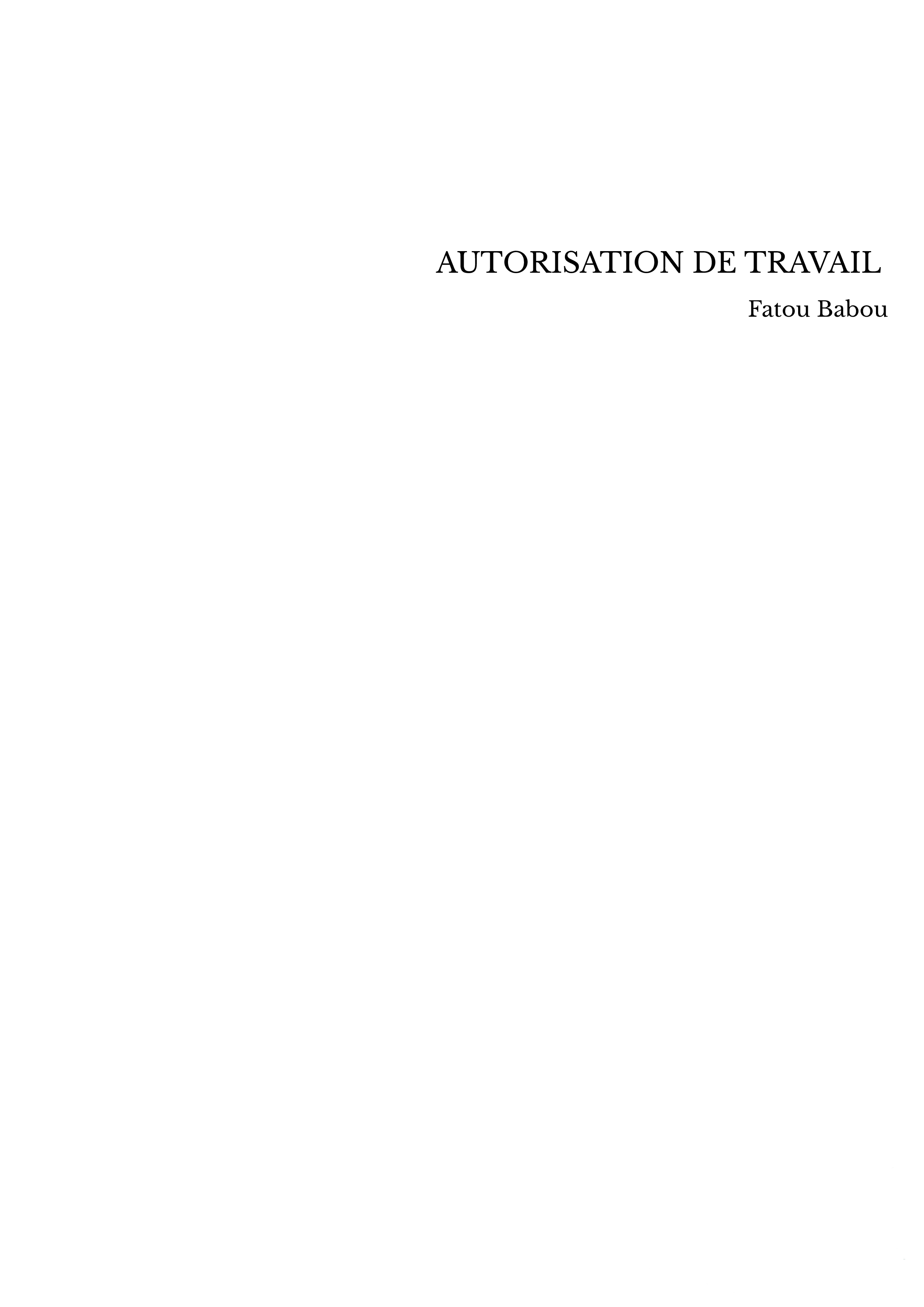 AUTORISATION DE TRAVAIL 