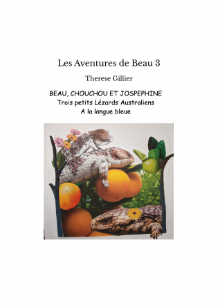 Les Aventures de Beau 3