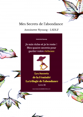 Mes Secrets de l'abondance 