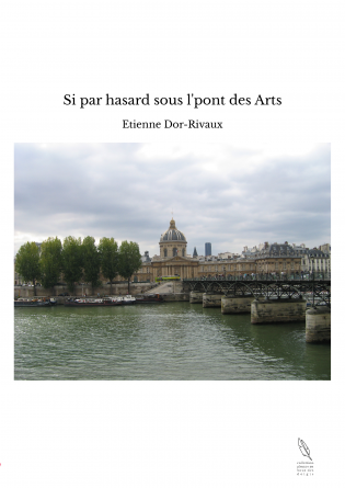 Si par hasard sous l'pont des Arts