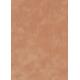 Généalogie de la Famille Moncoqut