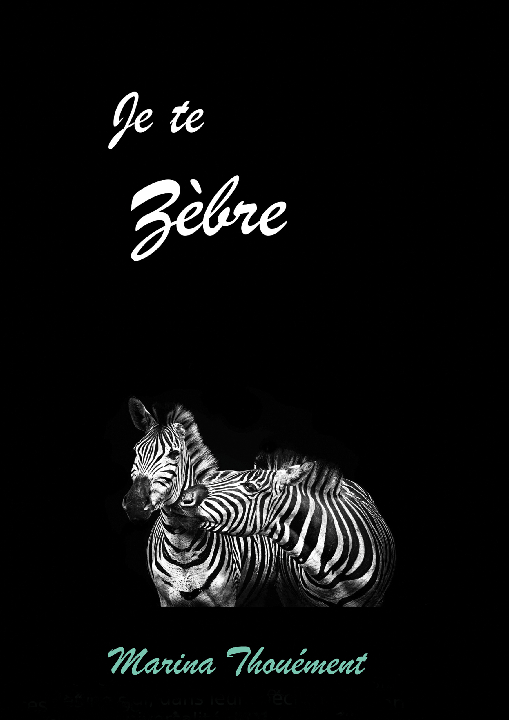 Je te zèbre