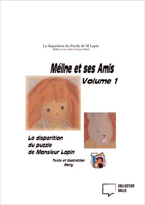 La disparition du Puzzle de M Lapin