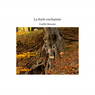 La forêt enchantée