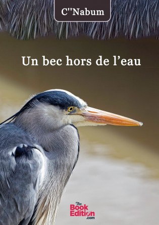 Un bec hors de l'eau