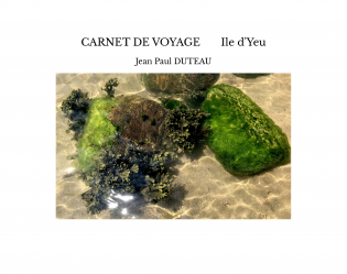 CARNET DE VOYAGE Ile d'Yeu