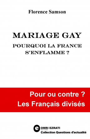 Mariage gay : la France s'enflamme