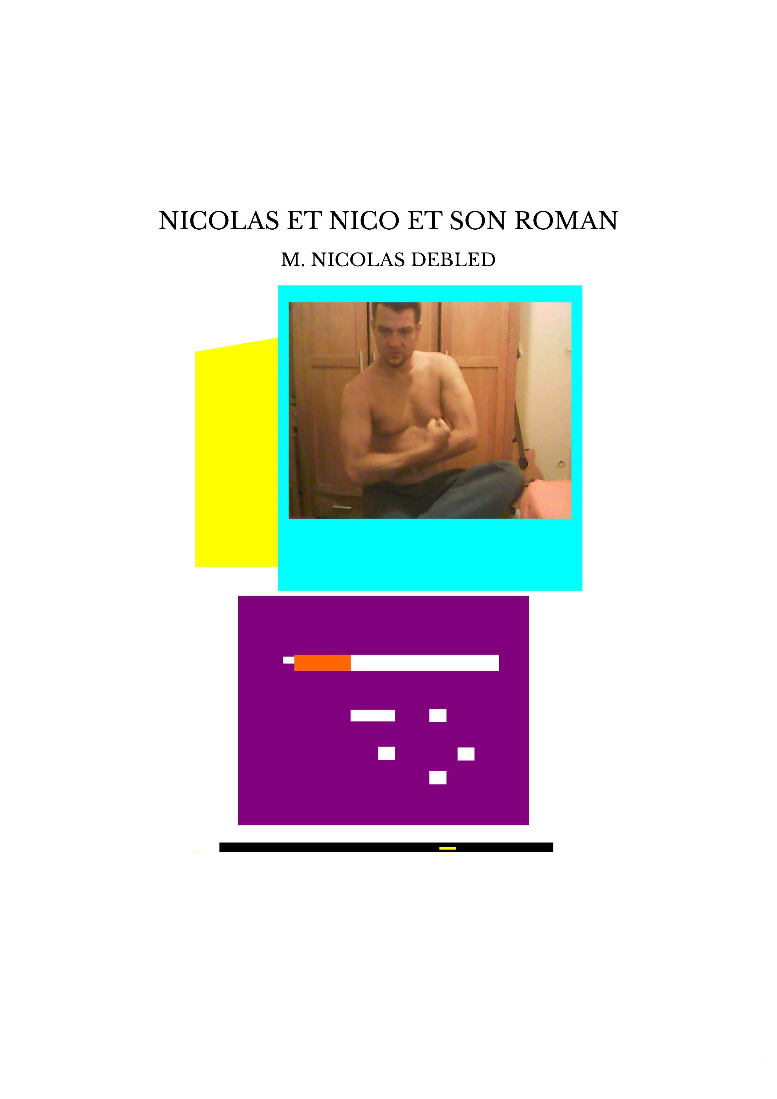 NICOLAS ET NICO ET SON ROMAN