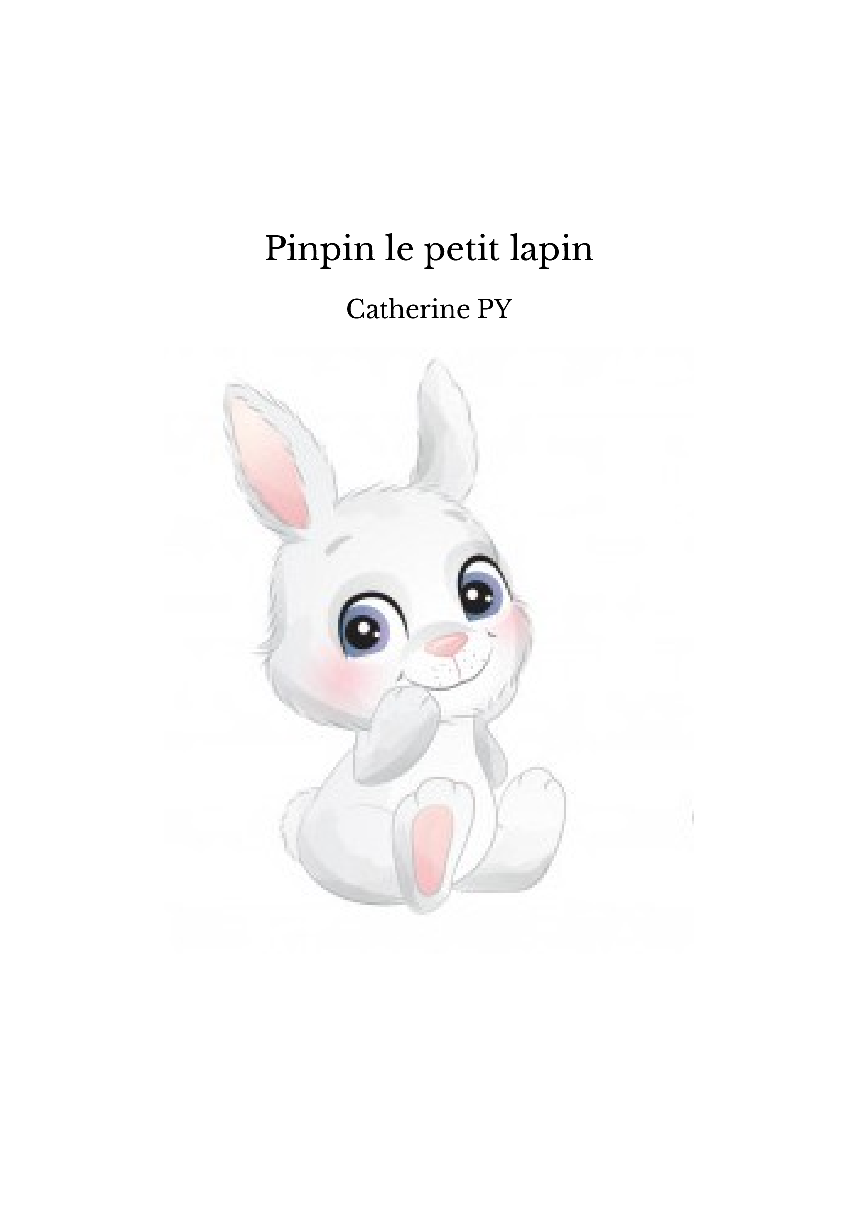 Pinpin le petit lapin