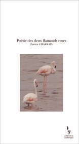 Poésie des deux flamands roses