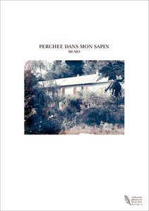 PERCHEE DANS MON SAPIN