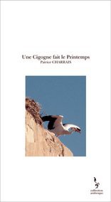 Une Cigogne fait le Printemps