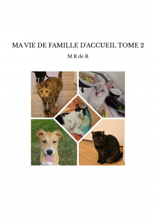 MA VIE DE FAMILLE D'ACCUEIL TOME 2