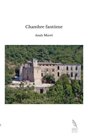 Chambre fantôme