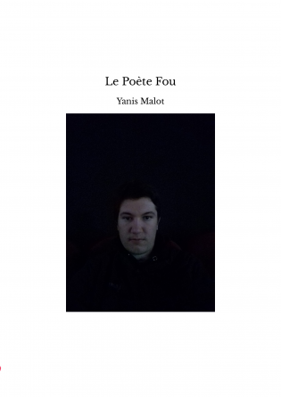 Le Poète Fou