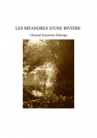 LES MÉANDRES D'UNE RIVIÈRE 