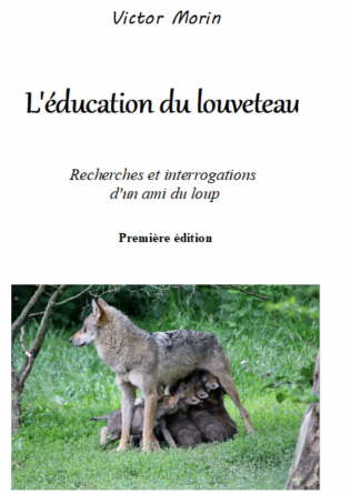 L'éducation du louveteau