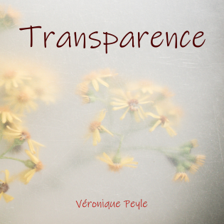 Transparence