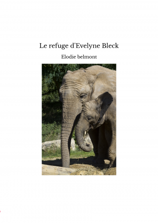 Le refuge d'Evelyne Bleck