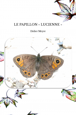 LE PAPILLON « LUCIENNE »