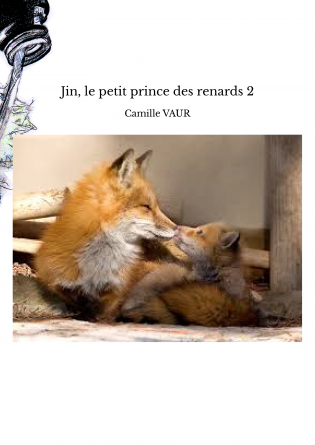 Jin, le petit prince des renards 2