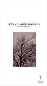 L'AN MIL SAISONS D'ORAGES