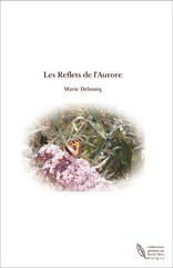 Les Reflets de l'Aurore