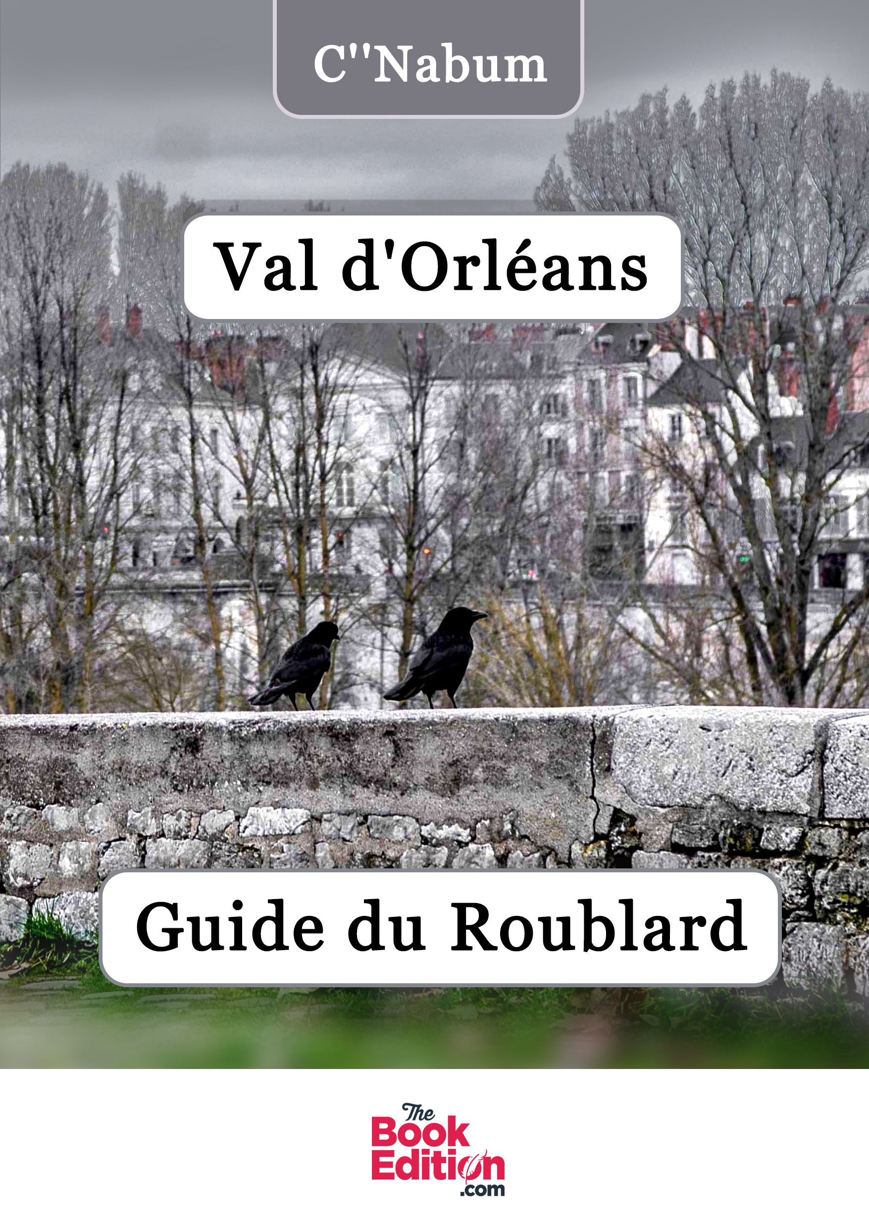 Le Val d'Orléans : Guide du Roublard