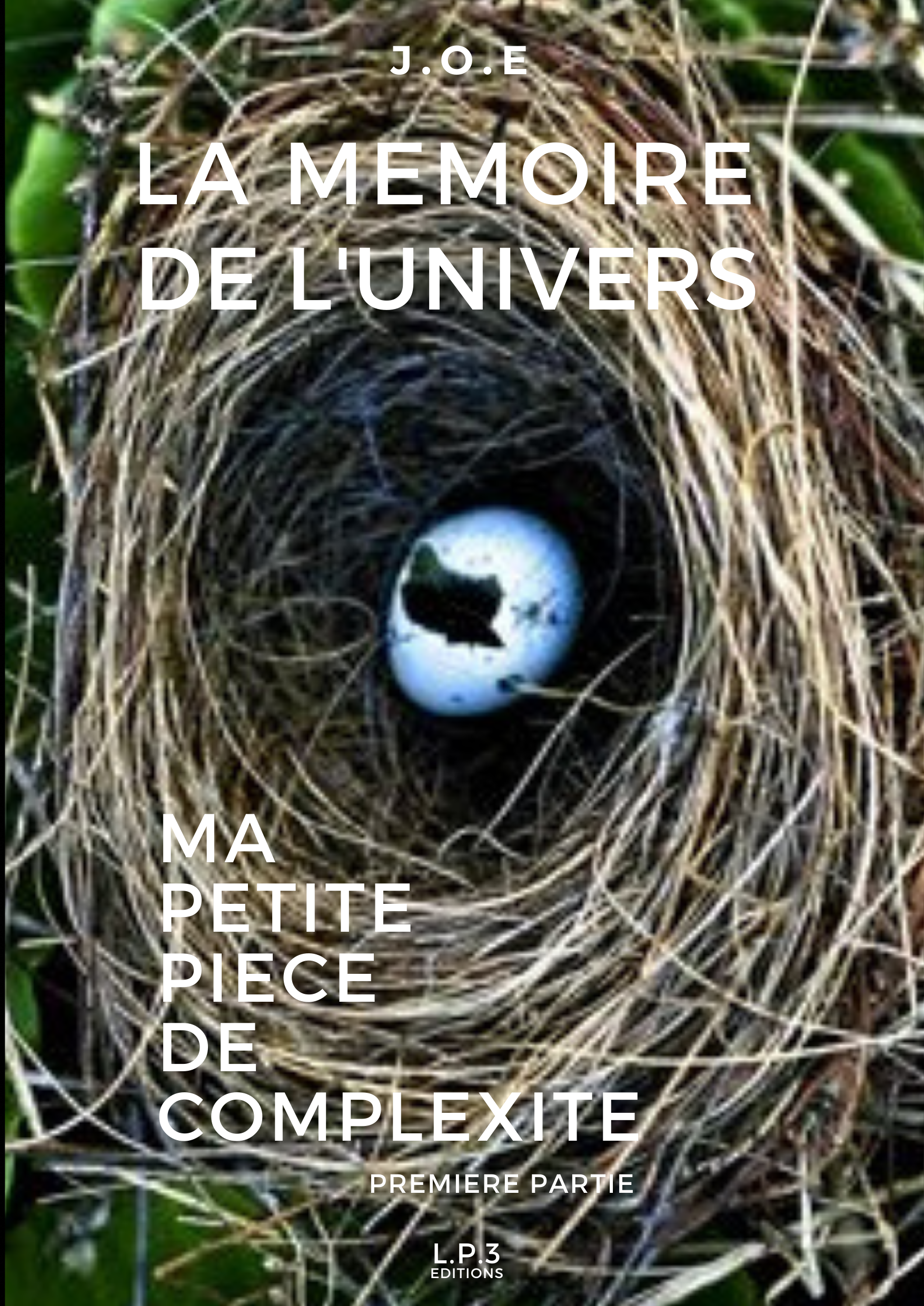 Ma petite pièce de complexité 