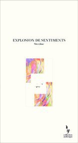 EXPLOSION DE SENTIMENTS