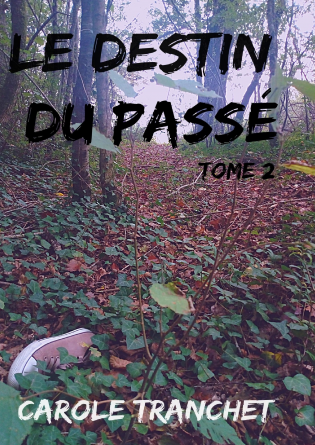 Le destin du passé - Tome 2