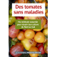 Des tomates sans maladies