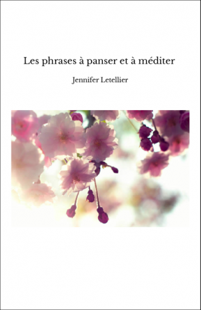 Les phrases à panser et à méditer 
