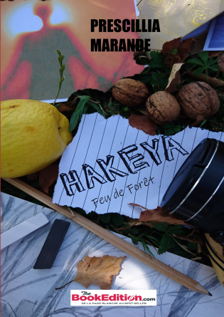 HAKEYA Tome 1 : Feu de forêt