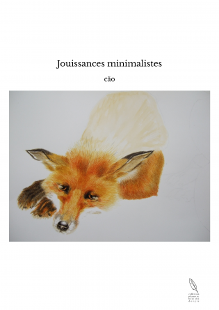 Jouissances minimalistes