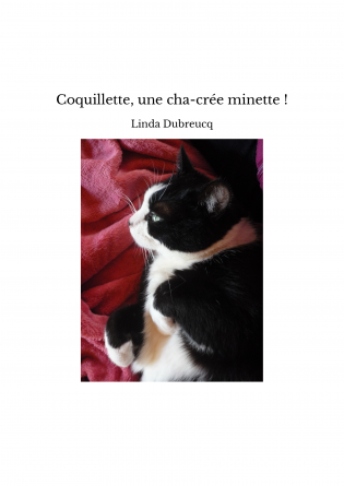 Coquillette, une cha-crée minette !