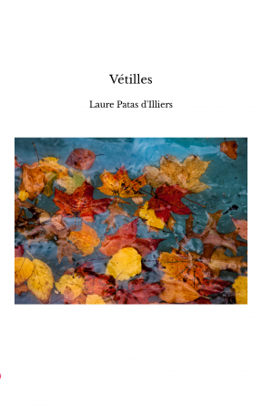 Vétilles