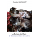 La Maison des Chats 2