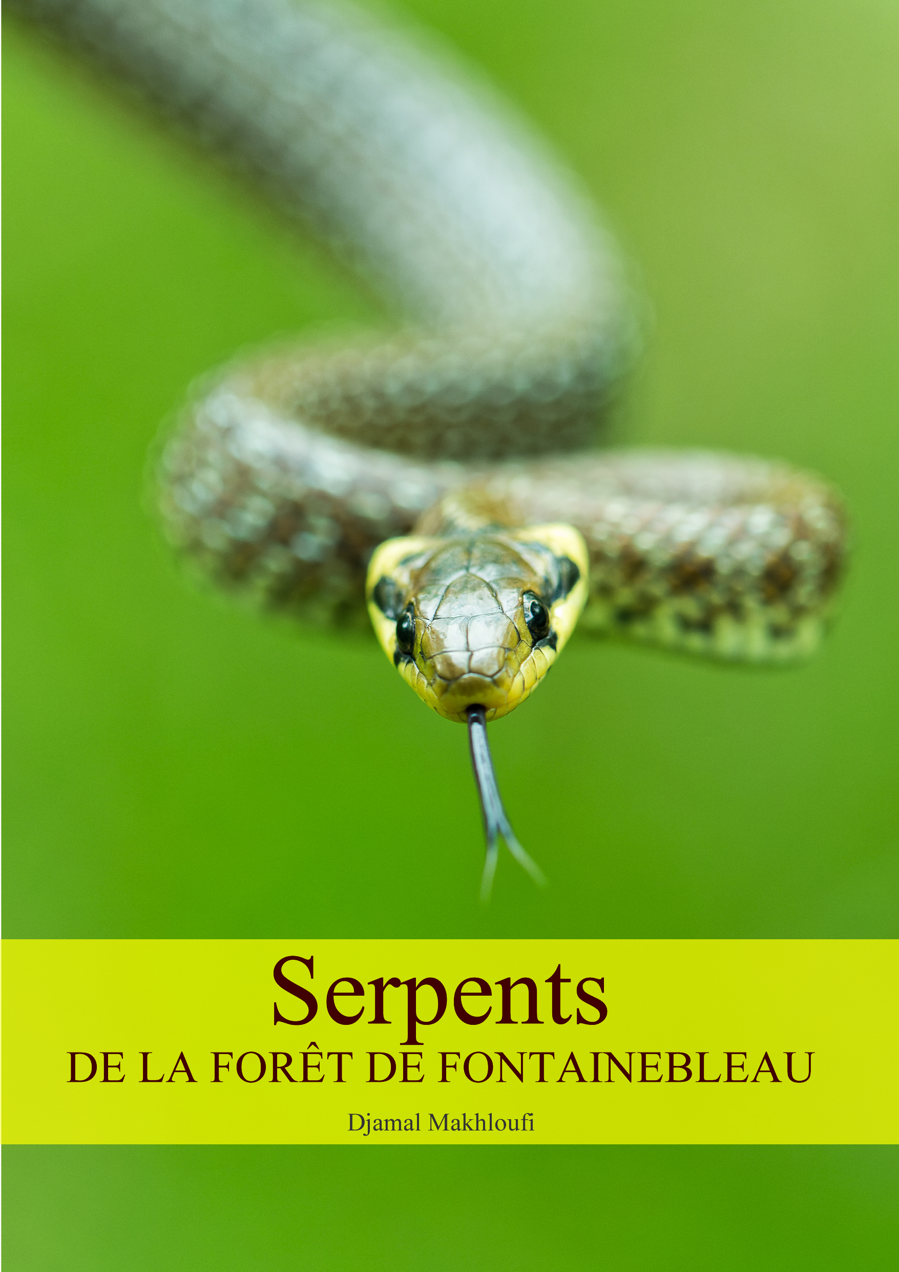 Serpents de la forêt de Fontainebleau