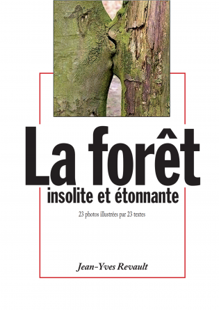 LA FORET INSOLITE ET ETONNANTE