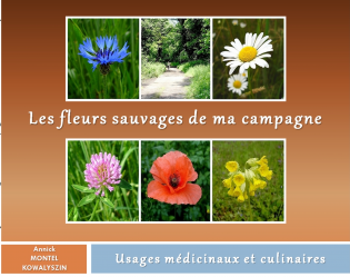 Les fleurs sauvages de ma campagne