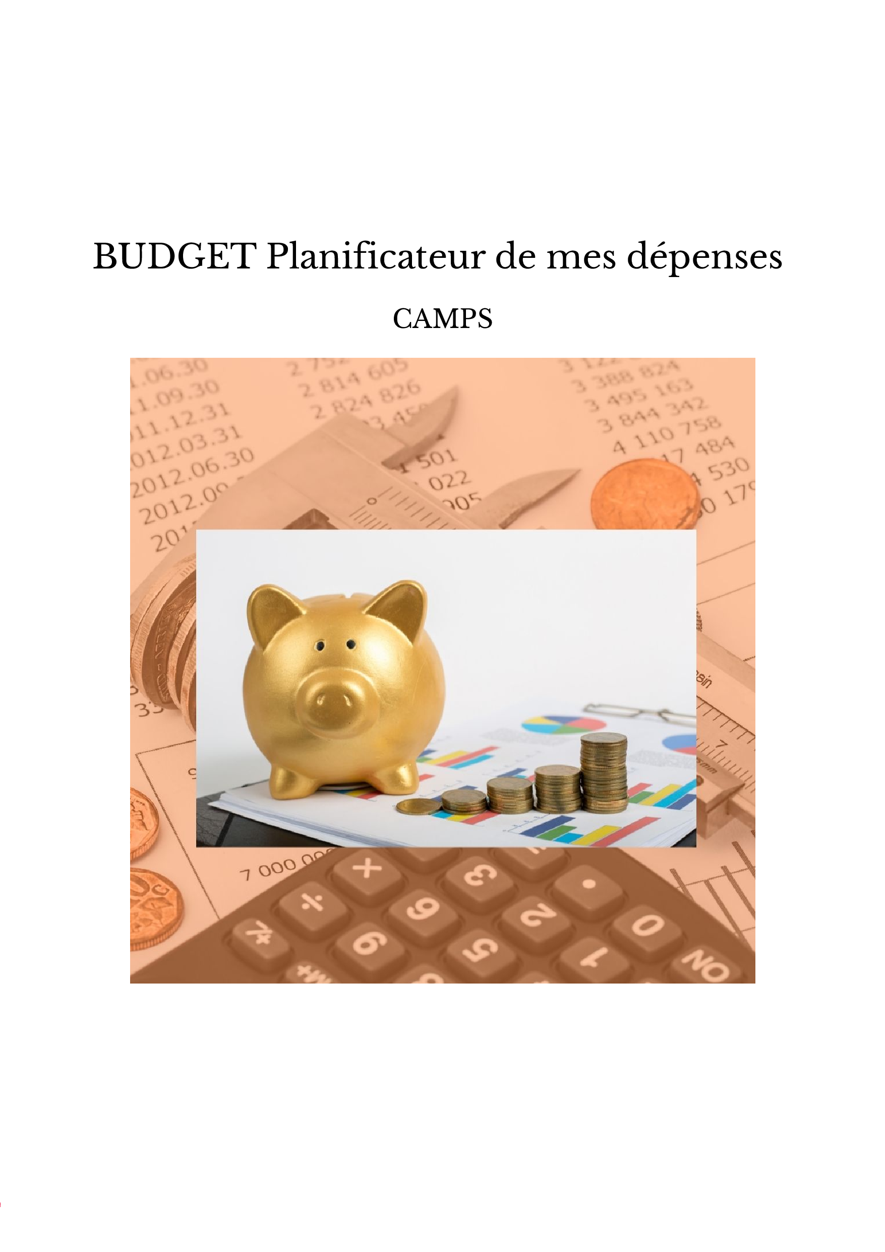 BUDGET Planificateur de mes dépenses - C.CONTAMIN