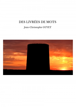 DES LIVRÉES DE MOTS 