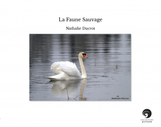 La Faune Sauvage