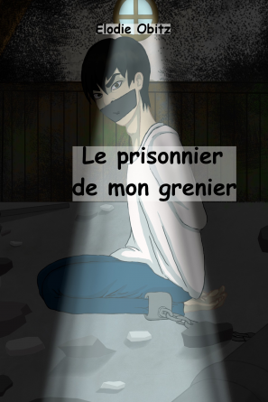 Le prisonnier de mon grenier