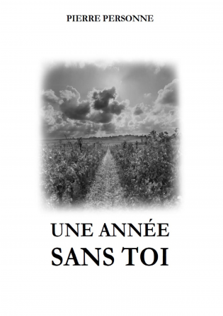 UNE ANNÉE SANS TOI